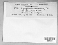 Image Associated With the Occurence